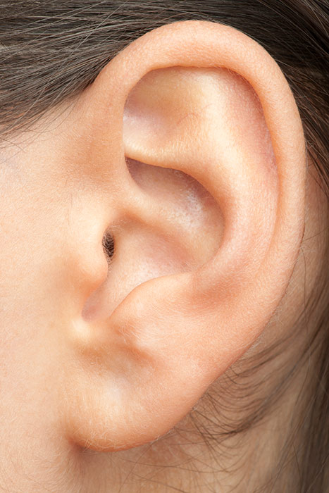 ear