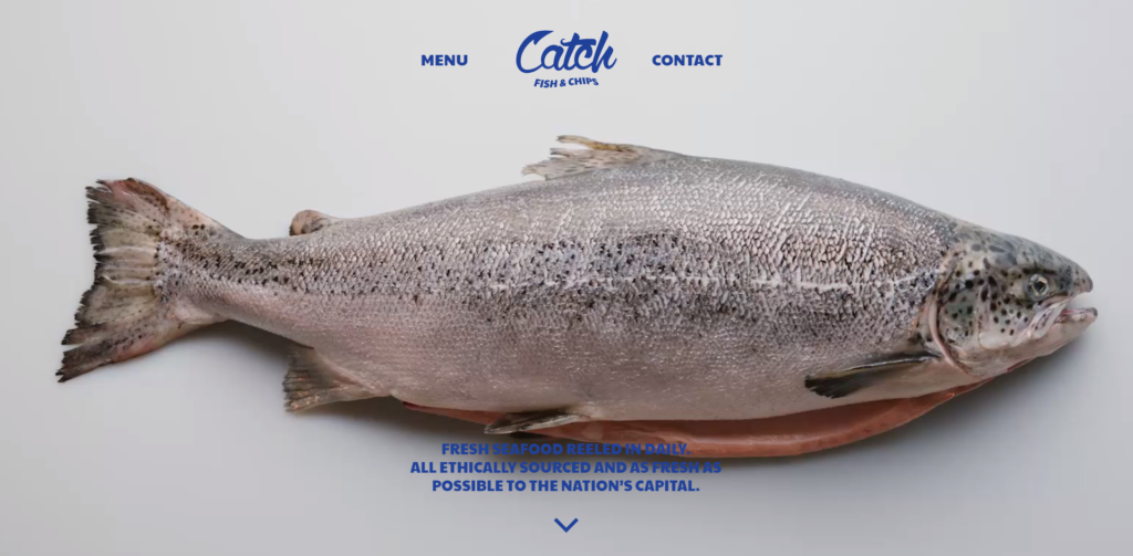 A huge image of a fish is this website's hero image.