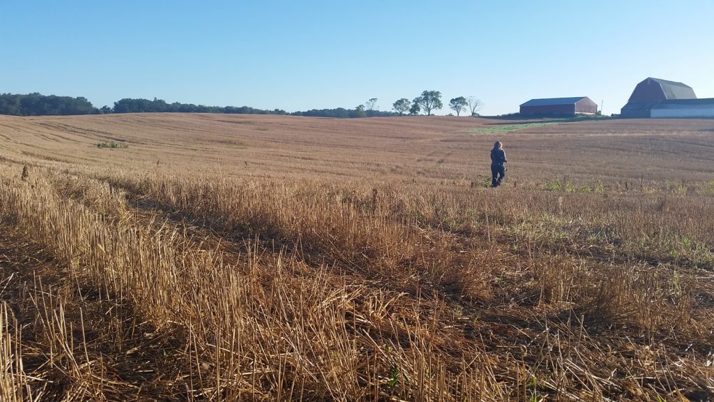 Woman walks in field.