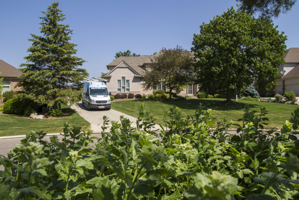 Van as seen over bushes.